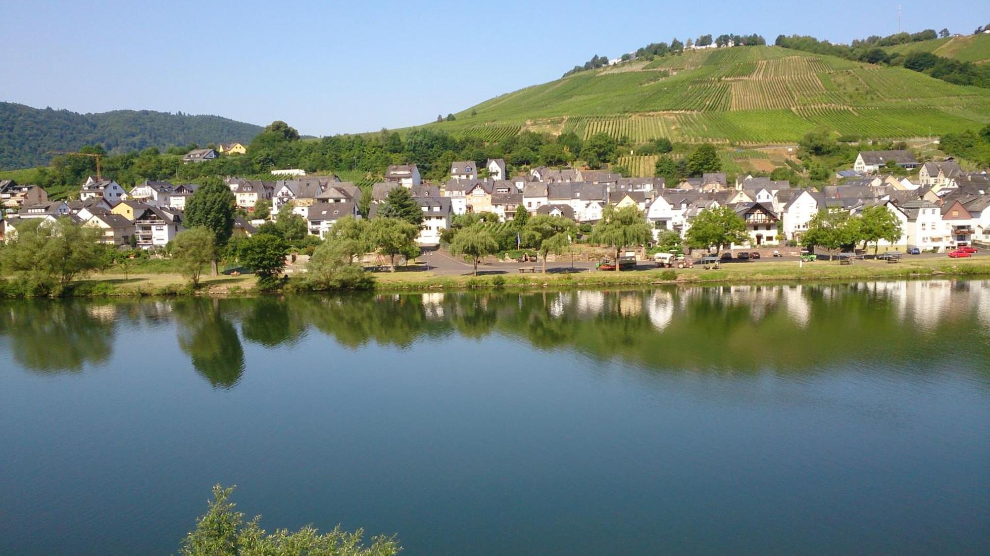 Mosel View Apartment Zell an der Mosel Room photo