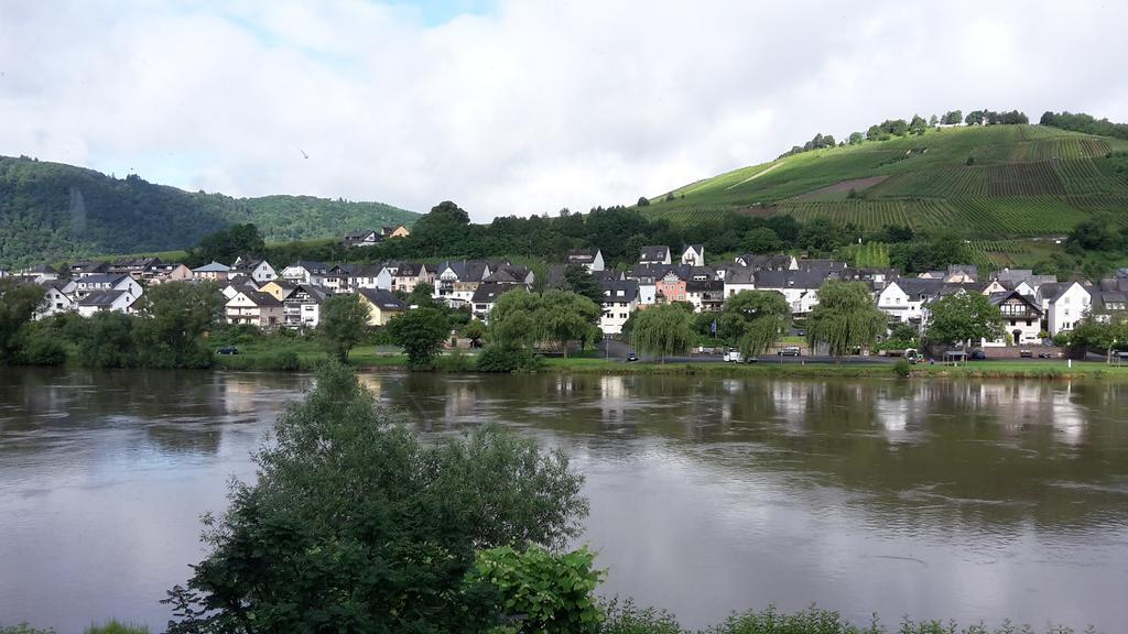 Mosel View Apartment Zell an der Mosel Exterior photo