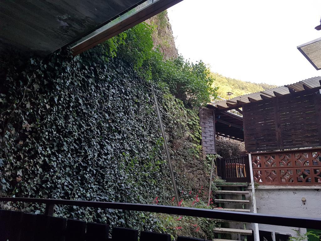 Mosel View Apartment Zell an der Mosel Exterior photo